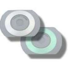 Cd card oval transparente - 55mbytes