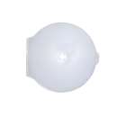 Caixa plastica redonda transparente - R$ 0,55